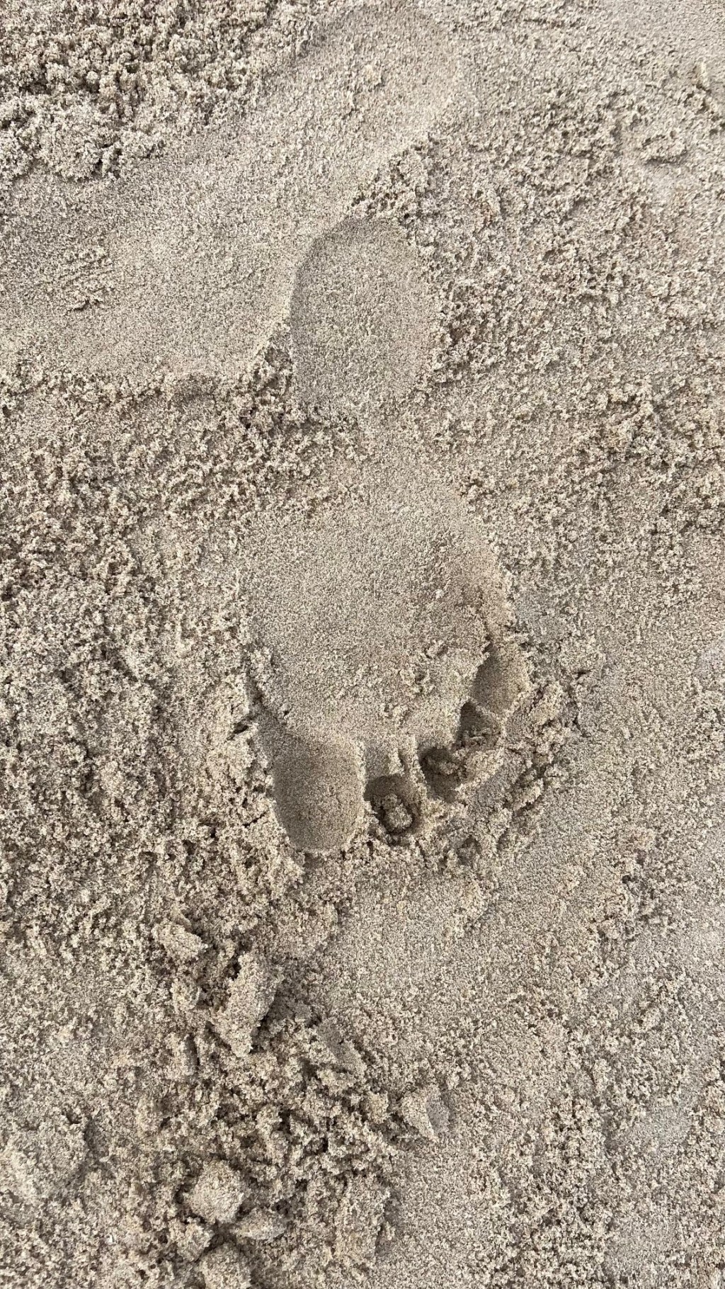 Jenny Chat (Exam&nbsp;changes)