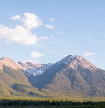 GAS newsletter Summer&nbsp;2024